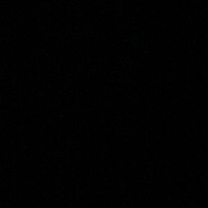 Meet your Posher, Kendall